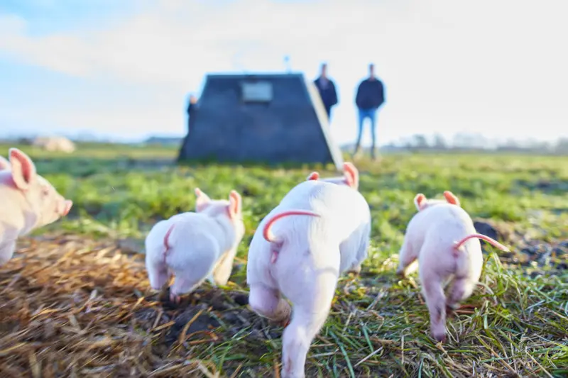 Hero Background Image